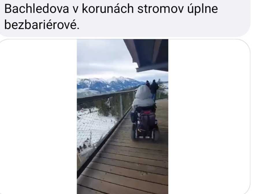 Chodník v korunách stromov.