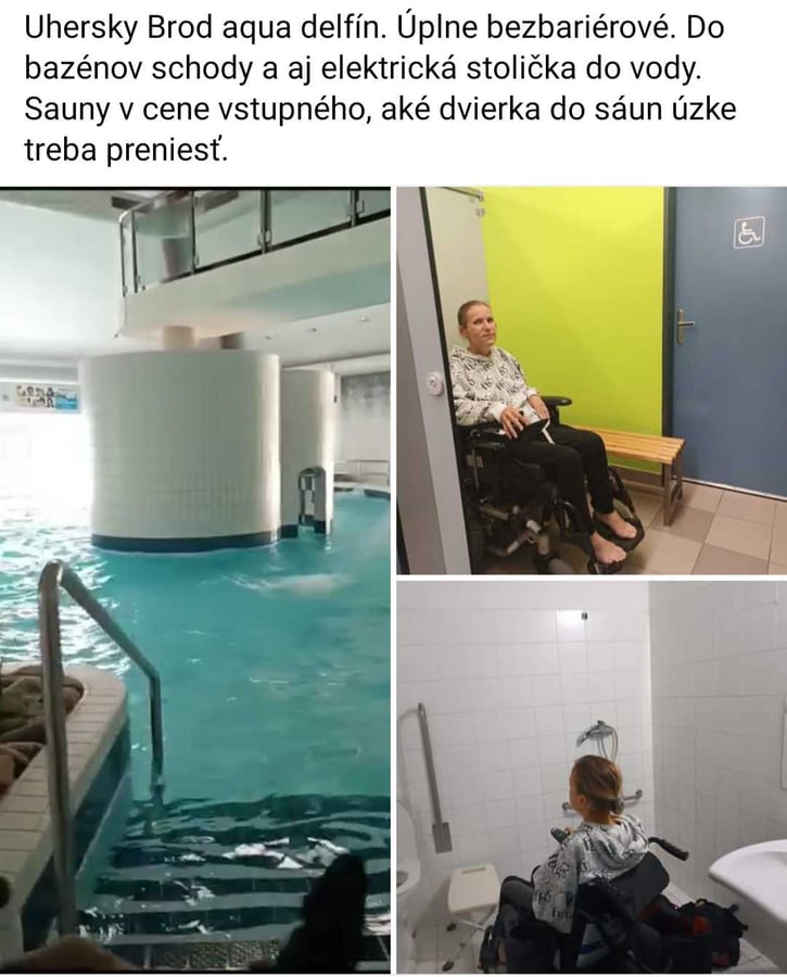 Aqua delfin