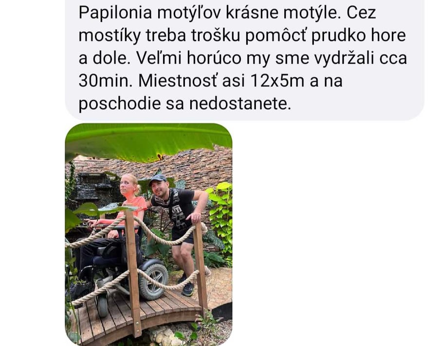 Papilonia