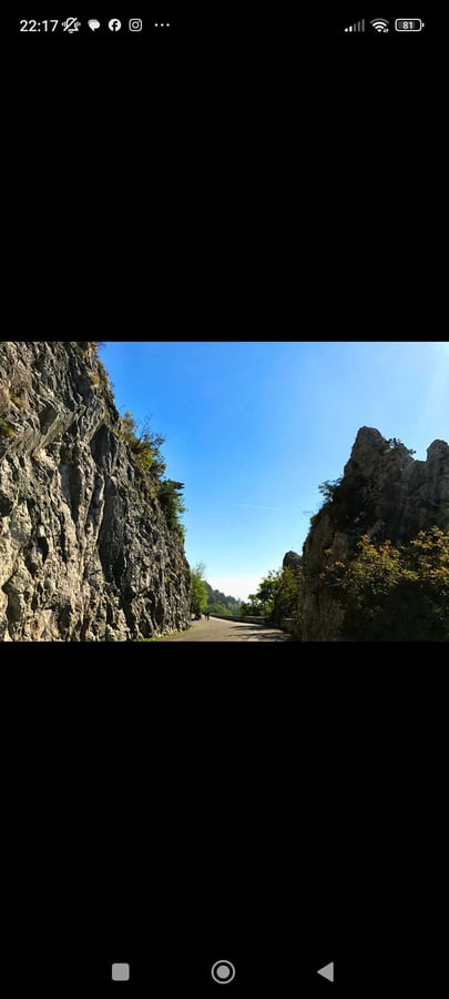 Strada Napoleonica, vicentina