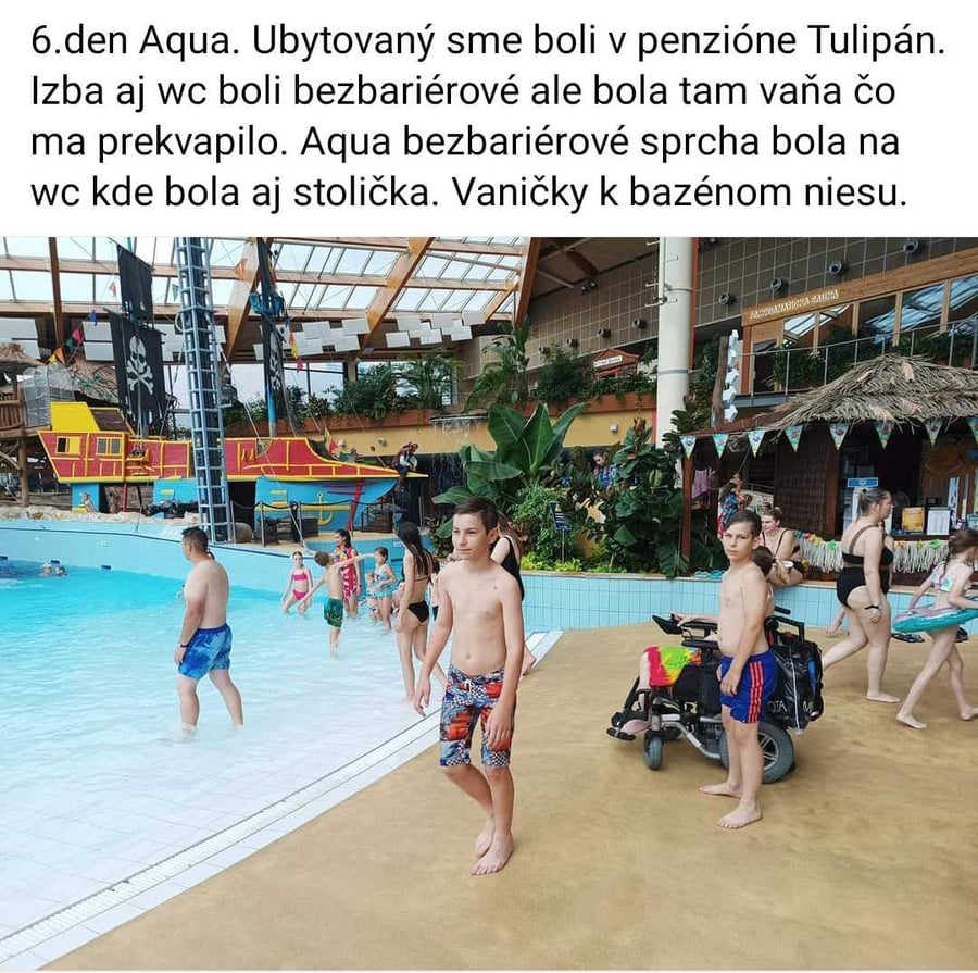 Tulipan