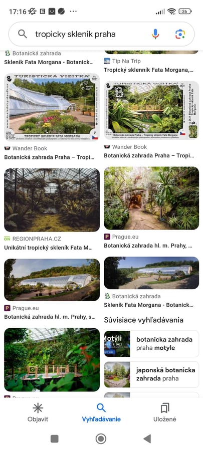 Tropický sklennik,