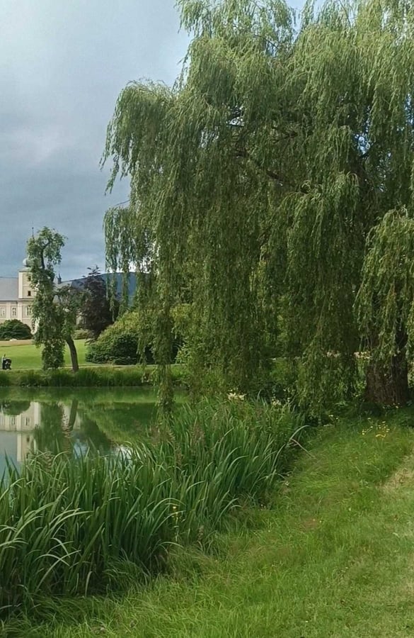 Zámocký park Loučna nad Dednou