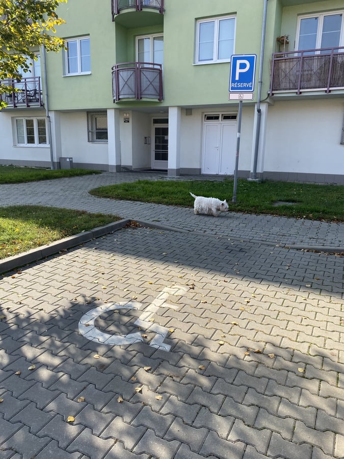 Parkovani