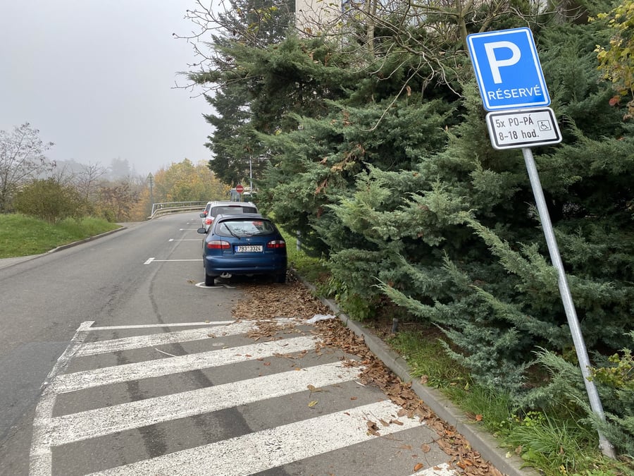 Parkovani