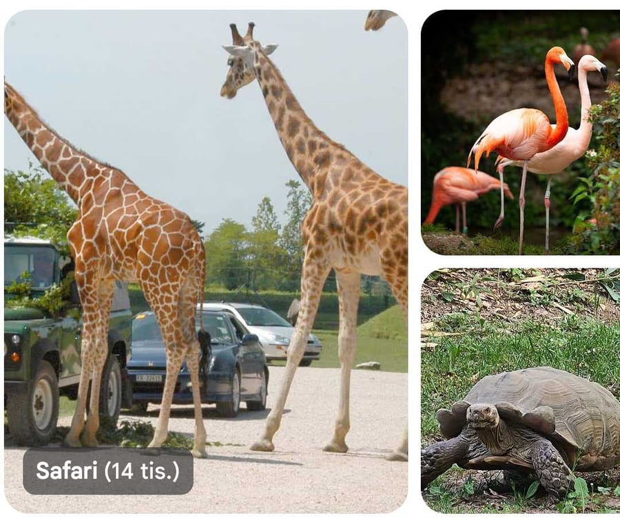 Parco natura Viva zoo