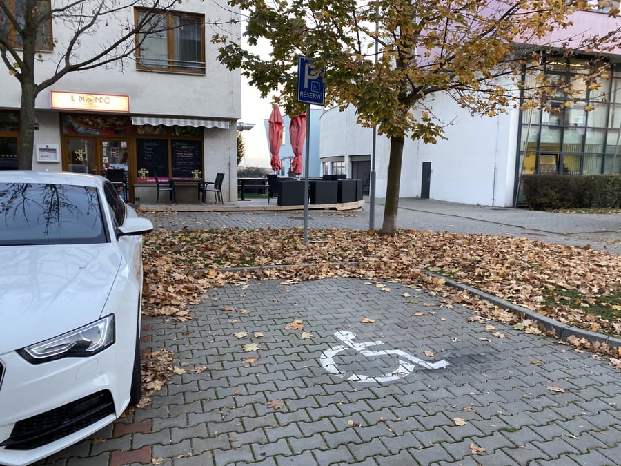 Parkoviste