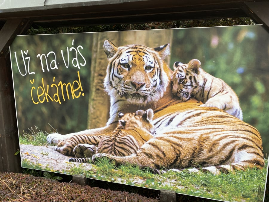 ZOO Lešná