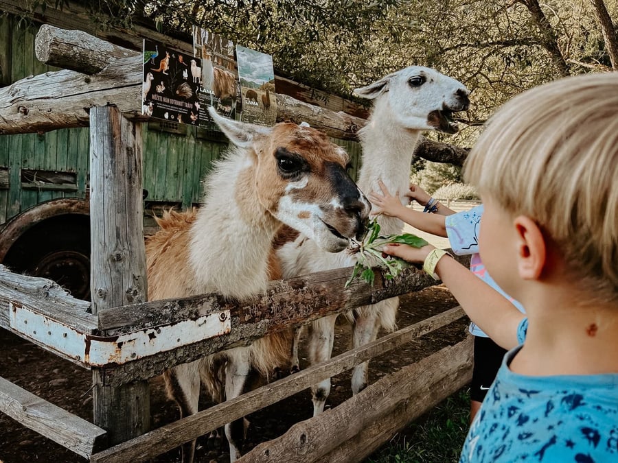 Mini zoo na Ranči Kraľova Lehota
