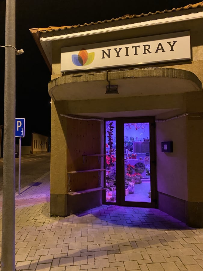 Kvetinarstvo