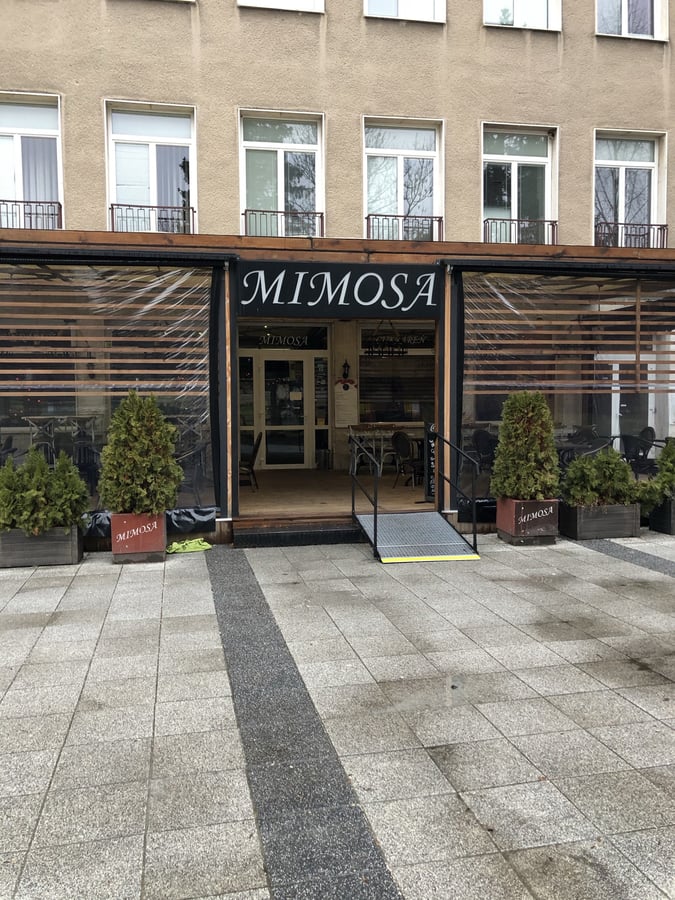 Mimosa