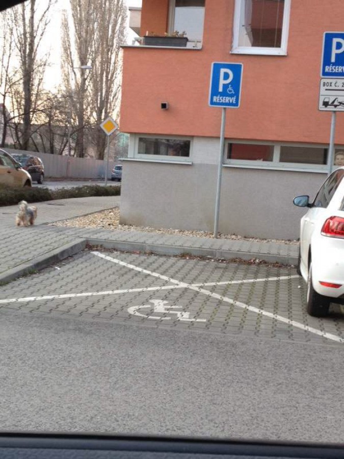 Vozičkárske parkovacie miesto