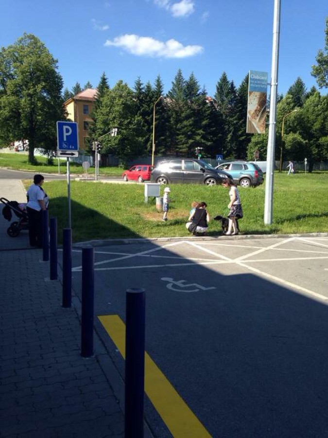 Vozičkárske parkovacie miesto