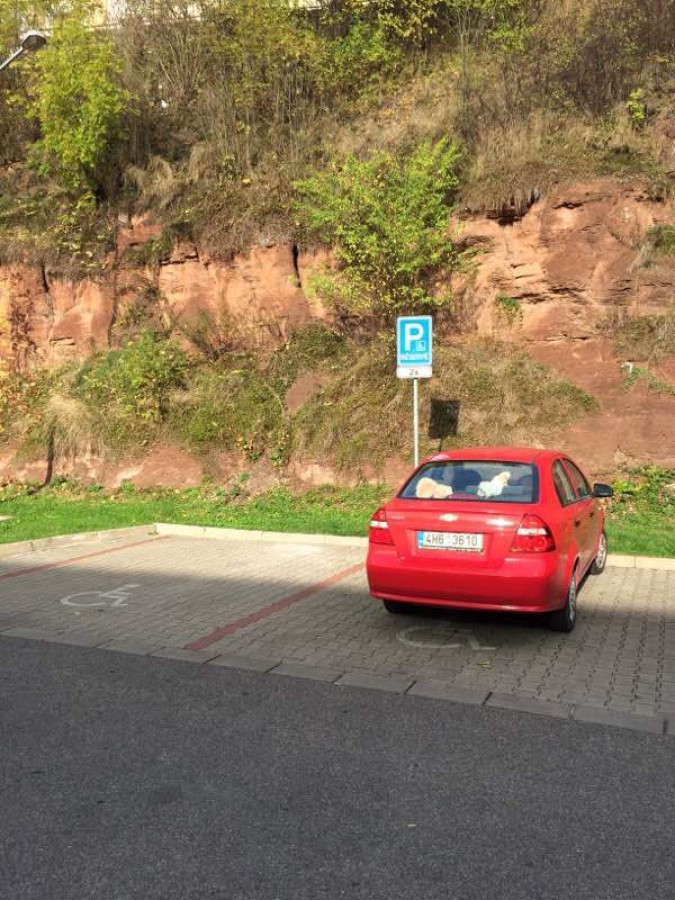 Vozičkárske parkovacie miesto