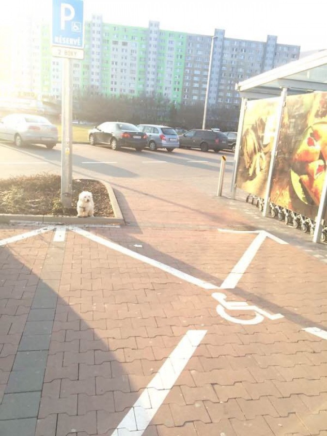 Vozičkárske parkovacie miesto