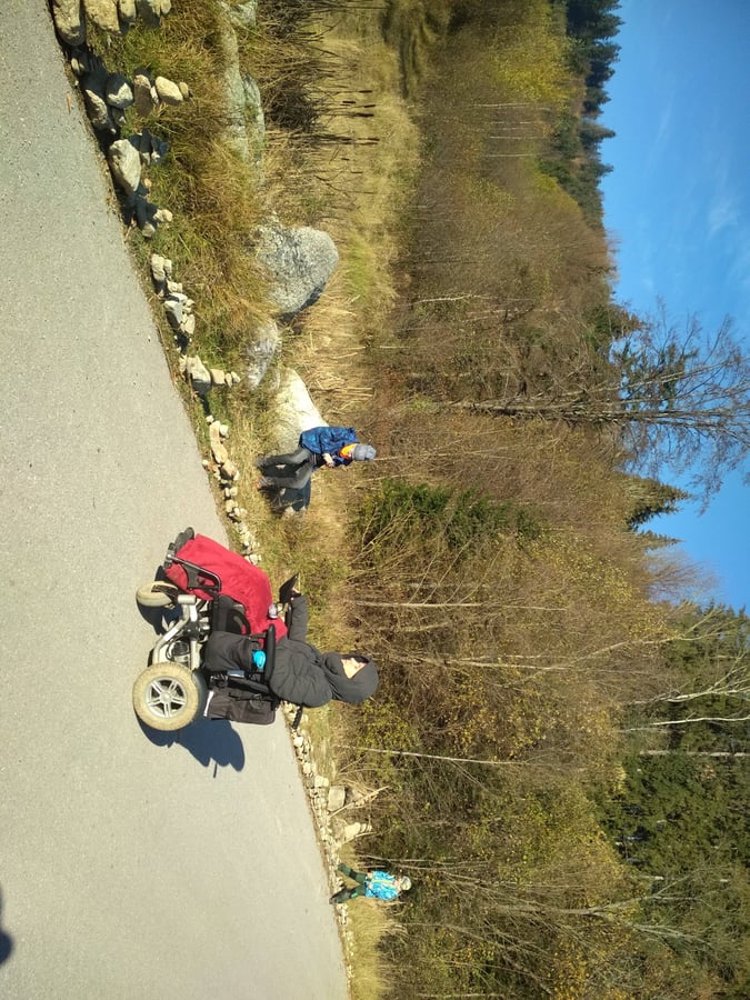 Podstatné Jedľoviny