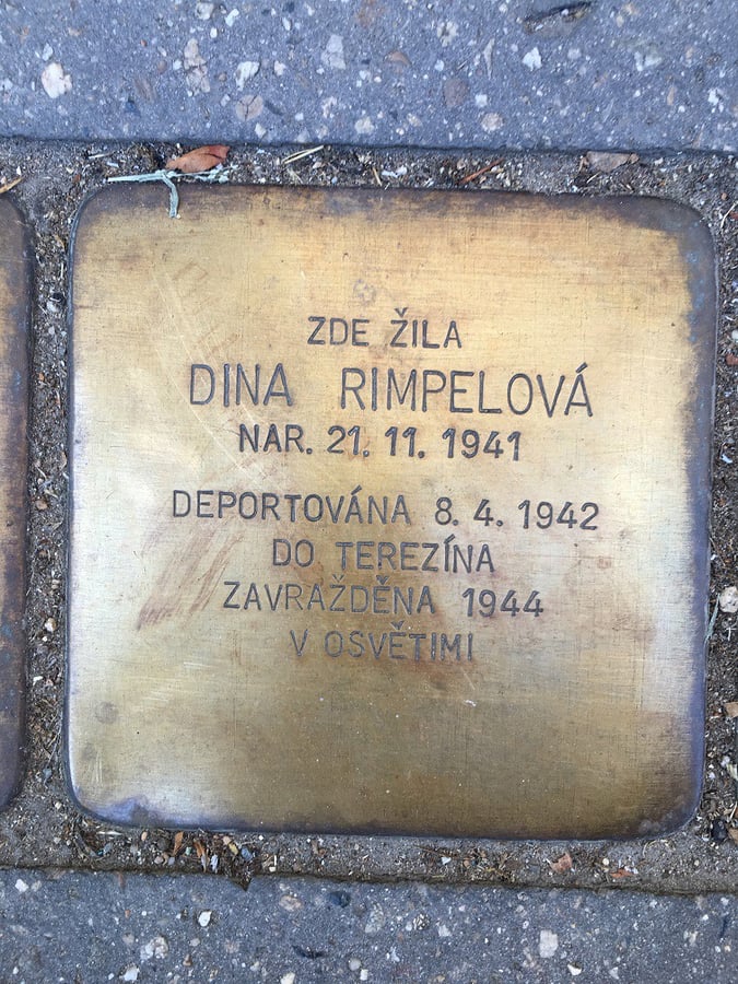 Rimpelová Dina