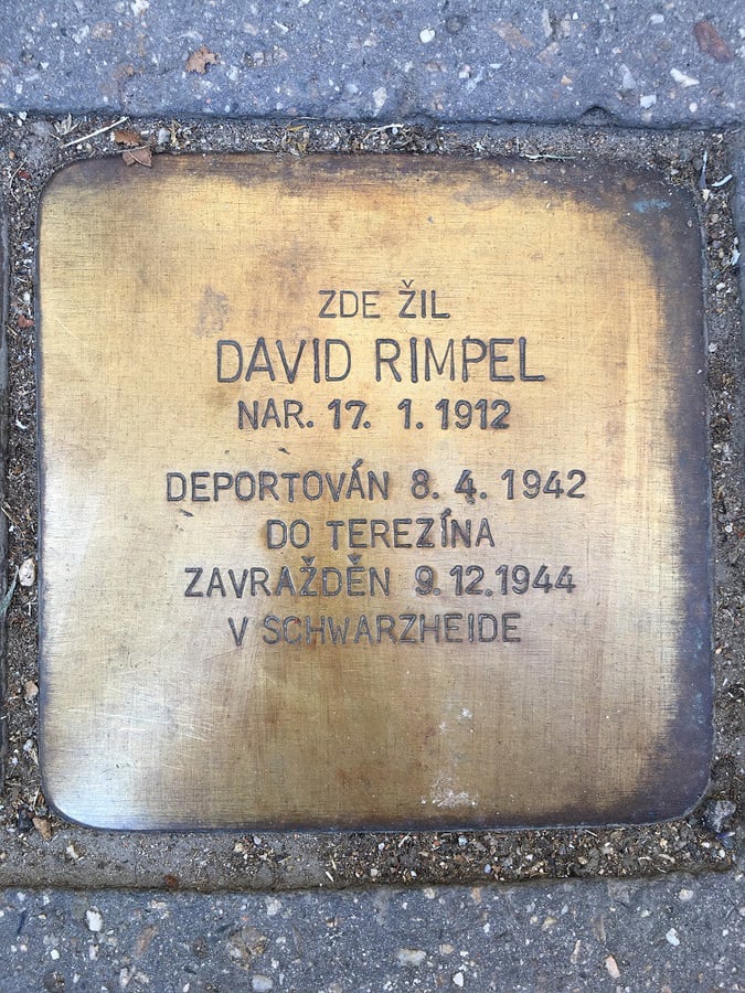 Rimpel David