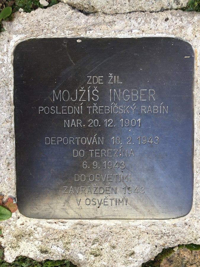 Ingber Mojžíš