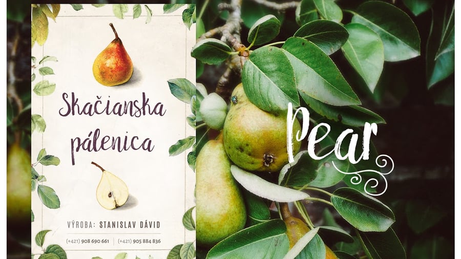 PÁLENICA JOST, v.o.s.,Stanislav Dávid