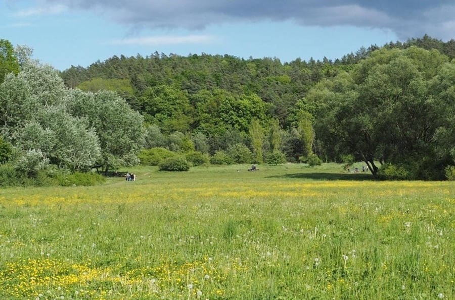 Zamilec - a grove in love in Brno
