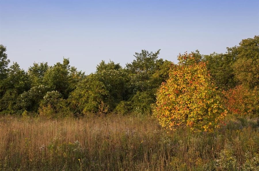 Natural monument Braitava near Vranov nad Dyjí