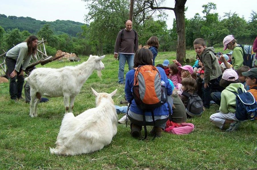 Ecological farm Kozí vršek in Milkovice - holidays with goats in the Bohemian Paradise