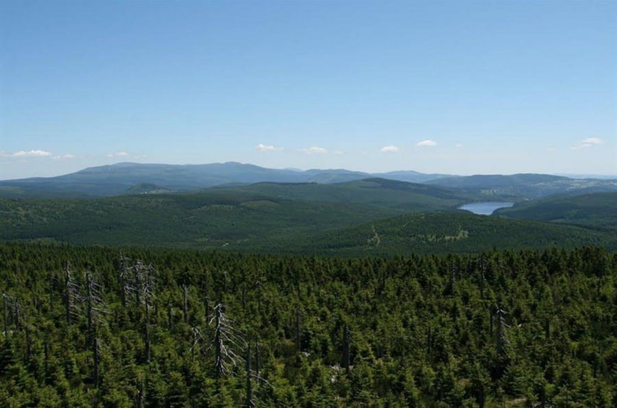 Smrk Peak - the highest mountain in the Jizera Mountains