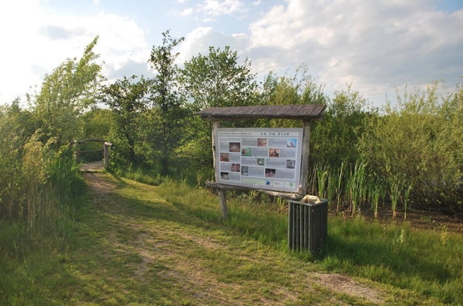 Biocentrum Mokroš - an artificial wetland