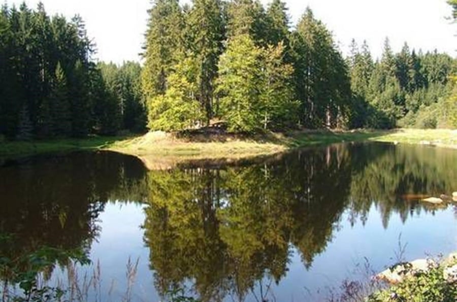 Czech Canada Nature Park