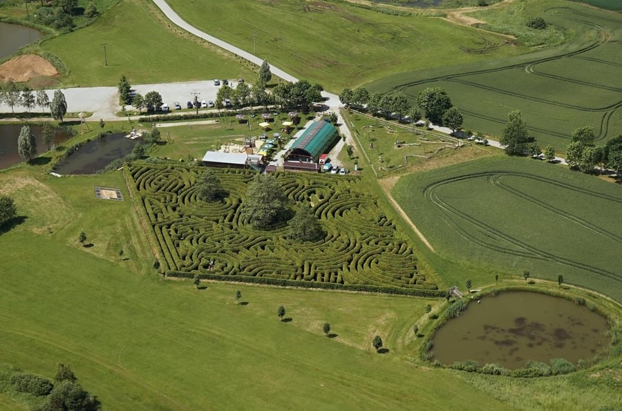 Dolní Pěna maze - the largest hornbeam maze in Central Europe