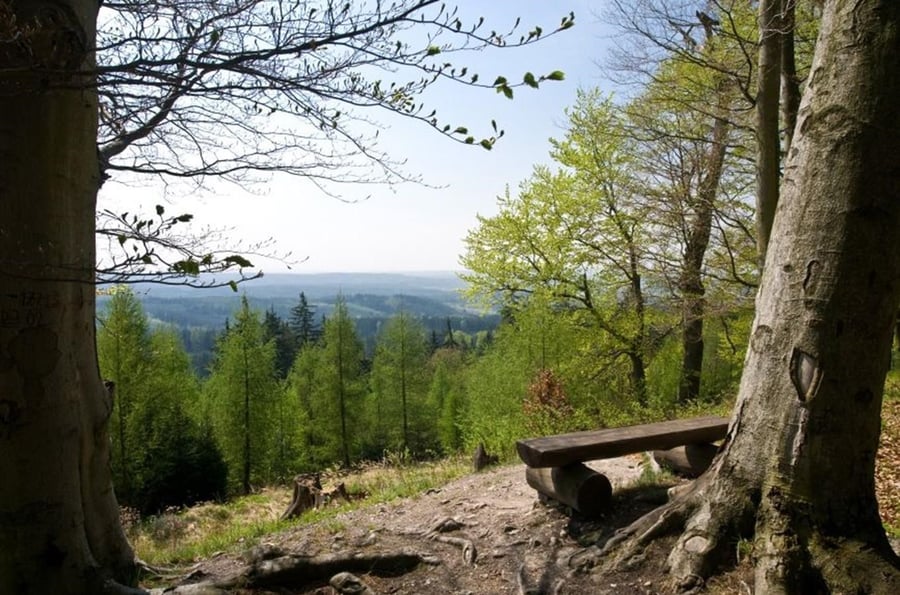 Educational trail Louštín u Lužné