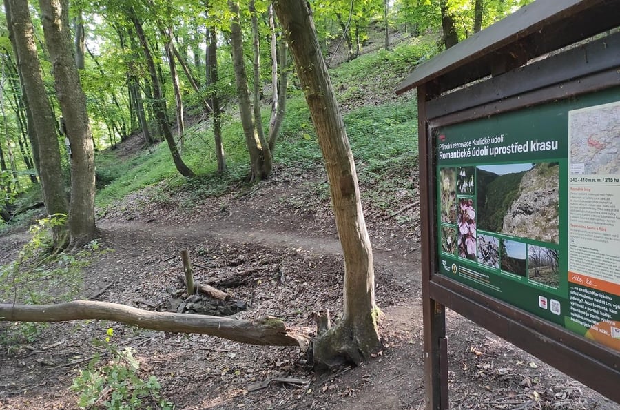 The ruins of the Karlík castle near Dobřichovice