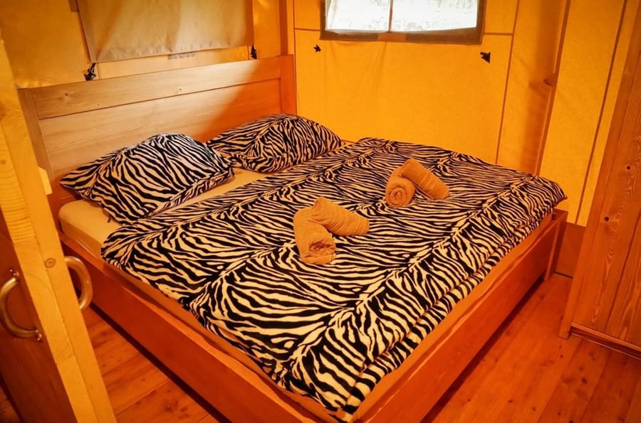 Ubytování v korunách stromů v Safari Dvůr Králové – glampingové stany ve větvích