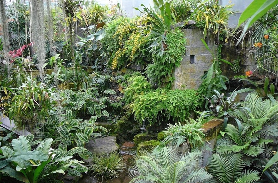 Botanical Garden and Arboretum of Mendel University in Brno