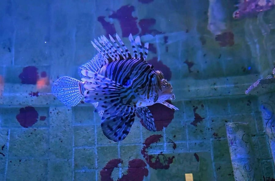 Zoo Mořský svět – největší mořské akvárium v České republice