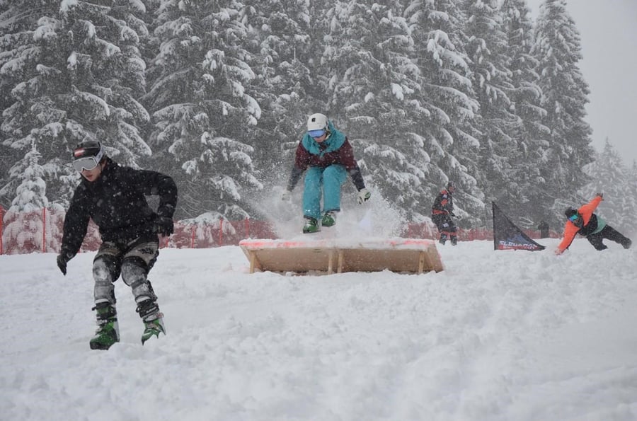 Sled Dogs Snow Skates - Rental and courses