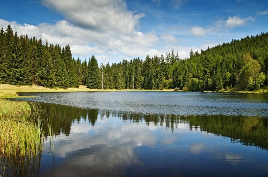 Smolov Dam in the Bohemian Forest