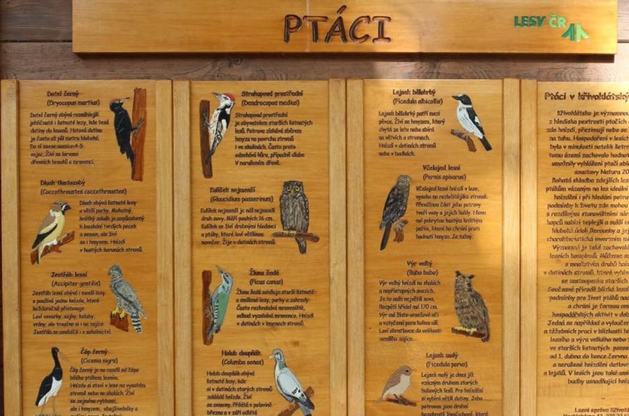 Recreational and educational area Křivoklát - Forest playground