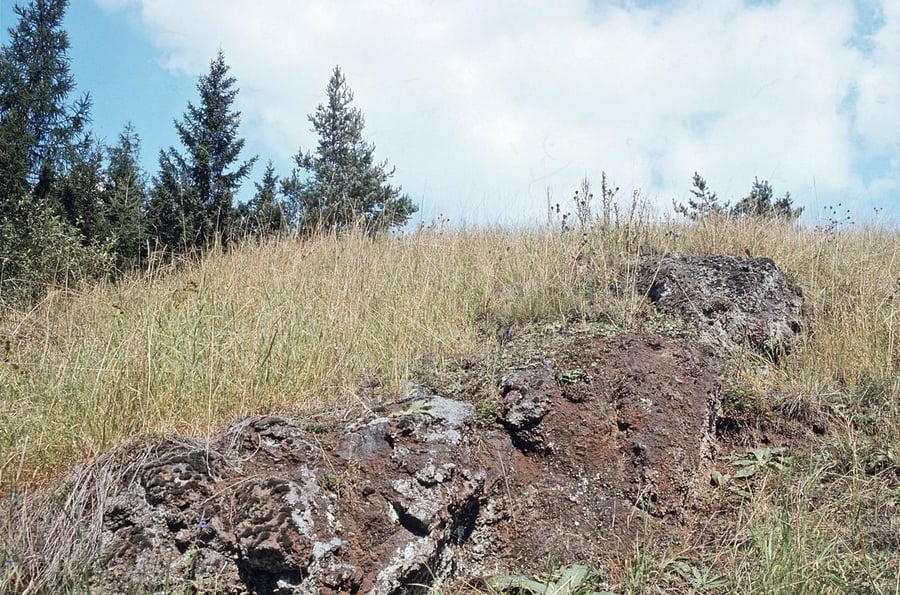 Přírodní památka Příšovská homolka na Plzeňsku