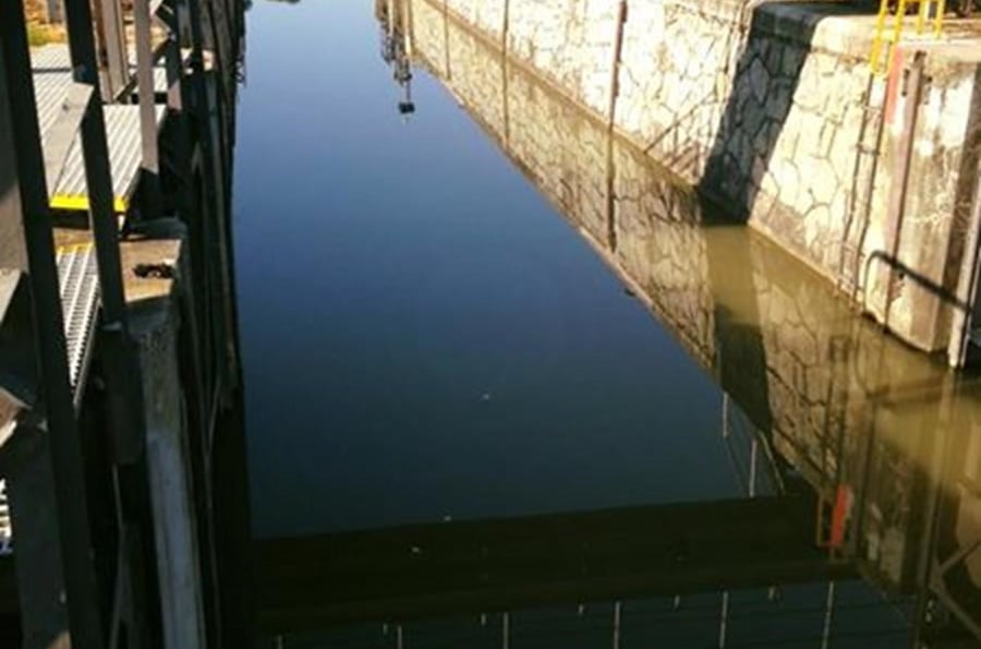 Cykloloď – lodní linka: Strážnice – Petrov – Sudoměřice a zpět