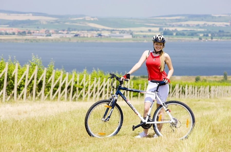 Greenway Krakow – Moravia – Vienna