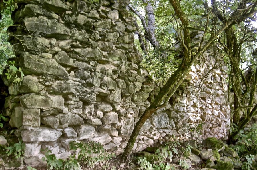Diana's yard in the Bohemian Forest - the ruins of the Dianahof chateau