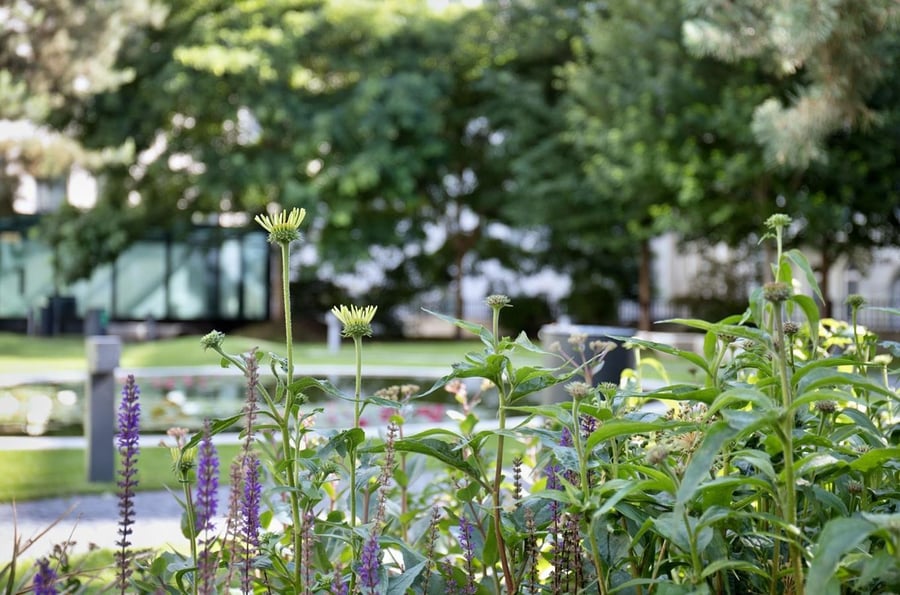Desfour Garden in Florence