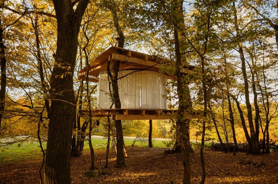 Glass tree house in Hrusice
