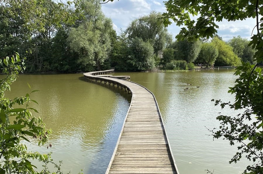 Vestecký pond and Vestec Planetary Trail
