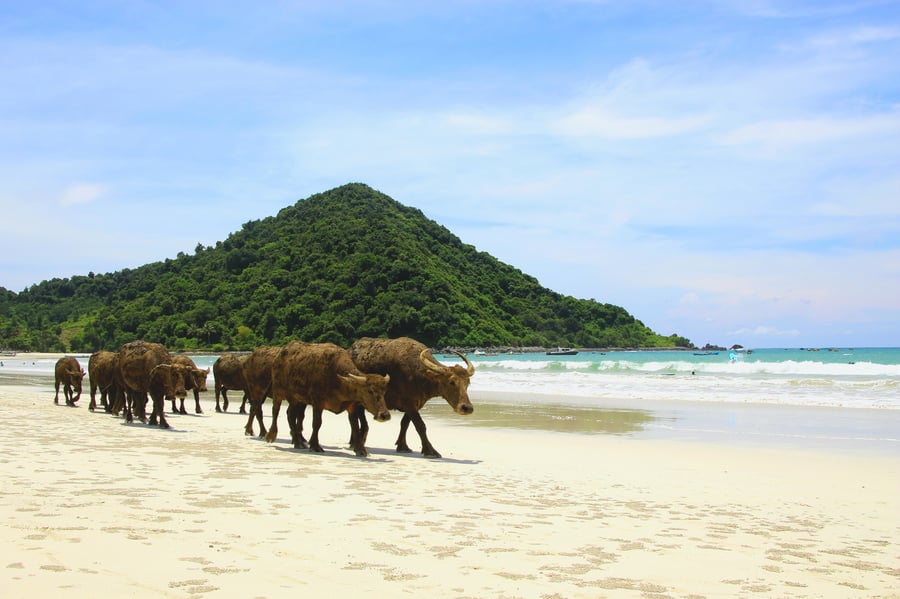 Lancing Beach, Lombok