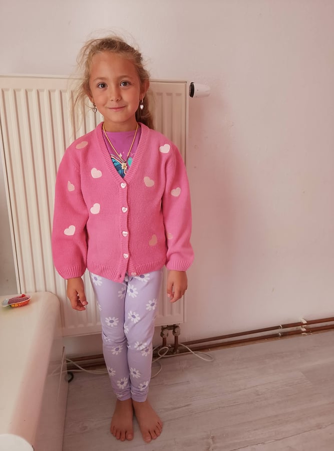 Prosím o pomoc s nákupem jídla a drogerii
