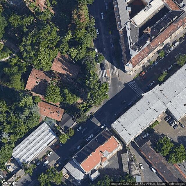 Füvészkert