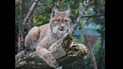 Munkholm ZOO